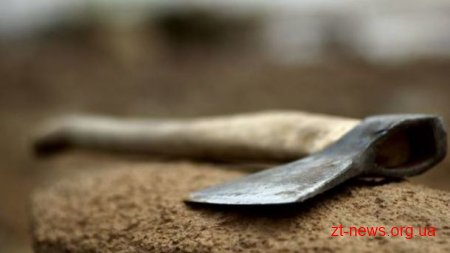 На Житомирщині двоє крадіїв лісу накинулись на лісівників з сокирами