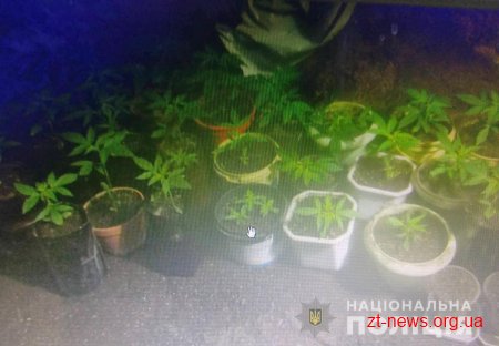 Чоловіка, який півроку переховувався від поліції знайшли в таємному сховку під будинком