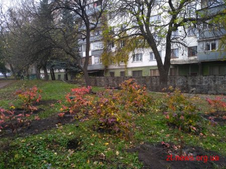 За два місяці у Житомирі було висаджено 1058 кущів та дерев