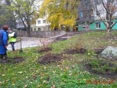 За два місяці у Житомирі було висаджено 1058 кущів та дерев