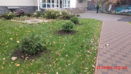 За два місяці у Житомирі було висаджено 1058 кущів та дерев