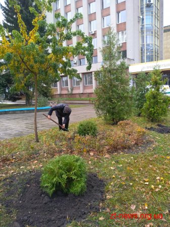 За два місяці у Житомирі було висаджено 1058 кущів та дерев