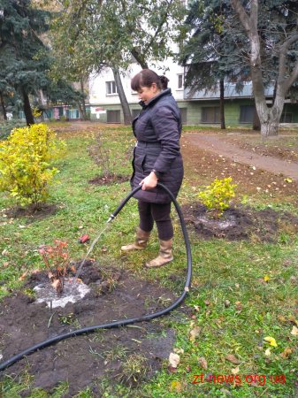 За два місяці у Житомирі було висаджено 1058 кущів та дерев