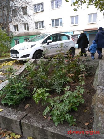За два місяці у Житомирі було висаджено 1058 кущів та дерев