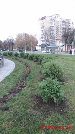 За два місяці у Житомирі було висаджено 1058 кущів та дерев