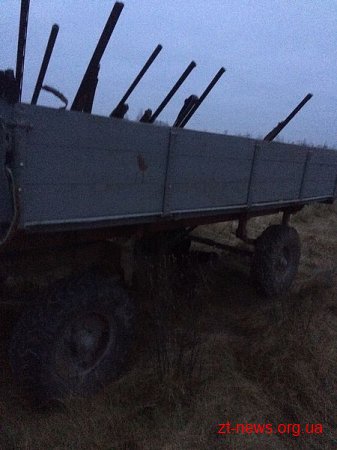 На Житомирщині незаконне полювання організував той, хто має слідкувати за дотриманням порядку