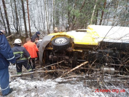 В Житомирській області «Mercedes», що перевозив хліб з’їхав у кювет та перекинувся на бік