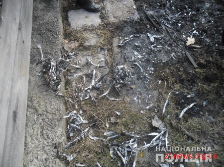На Житомирщині поліція розшукала молодиків, які залишили район без зв’язку