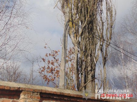 На Житомирщині поліція розшукала молодиків, які залишили район без зв’язку