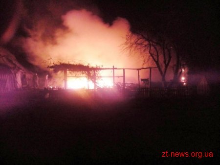 Під час пожежі в дерев'яному будинку на Житомирщині загинуло двоє людей