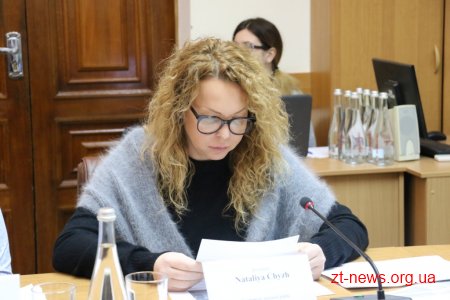Міжнародні експерти розпочали проведення аудиту по проекту «Енергоефективність в місті Житомирі»
