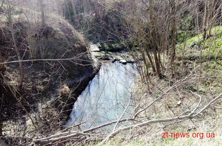 На околиці Житомира у рівчаку знайшли тіло чоловіка