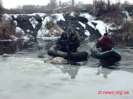 Фахівці ДСНС області врятували травмованого лебедя