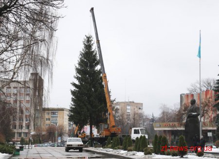 У центрі Житомира розпочали встановлення новорічної ялинки