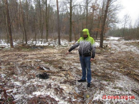 Поліцейські на Житомирщині розшукали хлопця, який силою відібрав у чоловіка сумку з грошима