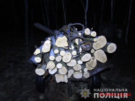 У Городницькому лісництві затримали чергового лісокрада