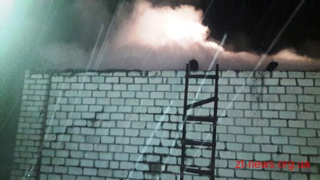 На пожежі у Новоград-Волинському районі загинуло двоє людей