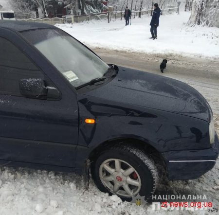 У Радомишльському районі водій Volkswagen збив жінку, яка йшла узбіччям дороги