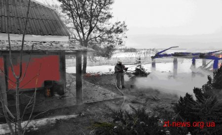 На Житомирщині чоловік намагаючись загасити пожежу отримав опіки рук