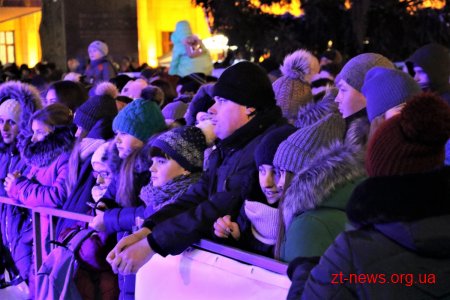 У Житомирі урочисто запалили ялинку
