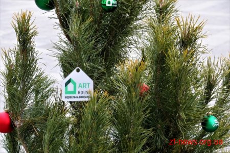 Житомиряни прикрасили ялинки на вулиці Михайлівській