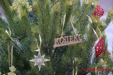 Житомиряни прикрасили ялинки на вулиці Михайлівській