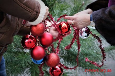 Житомиряни прикрасили ялинки на вулиці Михайлівській
