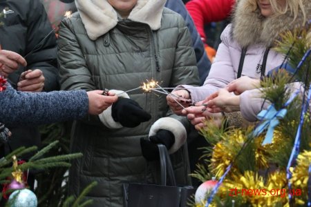 Житомиряни прикрасили ялинки на вулиці Михайлівській