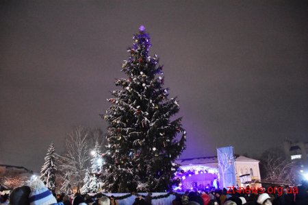 Як на Житомирщині запалювали новорічні ялинки