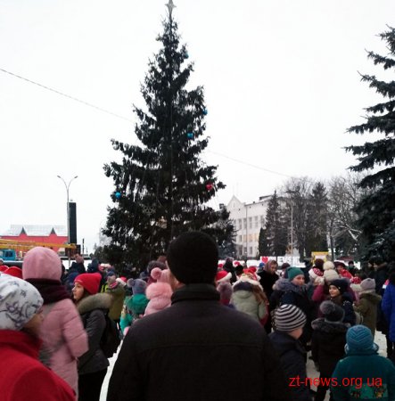 Як на Житомирщині запалювали новорічні ялинки
