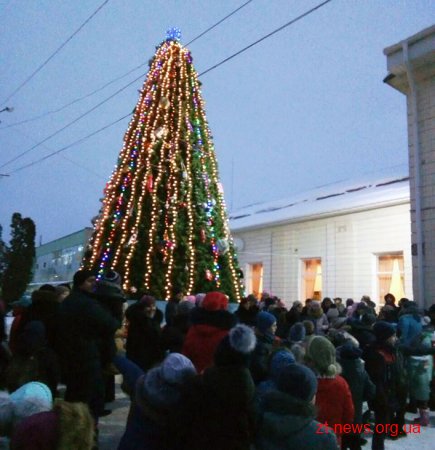 Як на Житомирщині запалювали новорічні ялинки