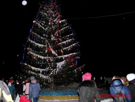 Як на Житомирщині запалювали новорічні ялинки