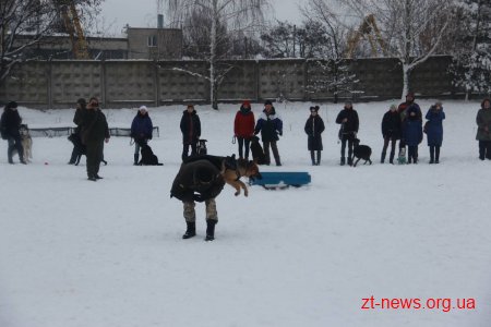 У Житомирі поліцейські нагородили учасників кінологічного клубу подяками та солодкими подарунками