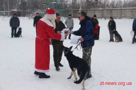 У Житомирі поліцейські нагородили учасників кінологічного клубу подяками та солодкими подарунками