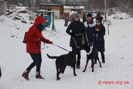 У Житомирі поліцейські нагородили учасників кінологічного клубу подяками та солодкими подарунками