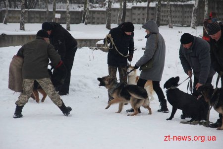 У Житомирі поліцейські нагородили учасників кінологічного клубу подяками та солодкими подарунками
