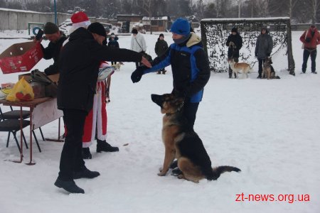У Житомирі поліцейські нагородили учасників кінологічного клубу подяками та солодкими подарунками