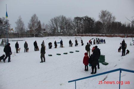У Житомирі поліцейські нагородили учасників кінологічного клубу подяками та солодкими подарунками