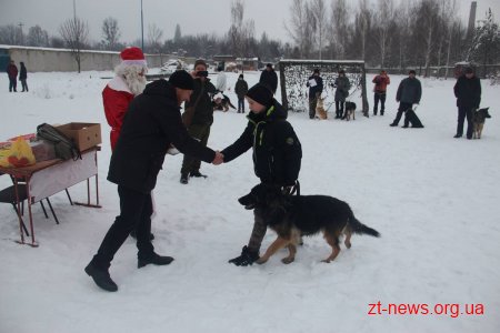 У Житомирі поліцейські нагородили учасників кінологічного клубу подяками та солодкими подарунками