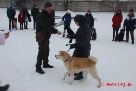 У Житомирі поліцейські нагородили учасників кінологічного клубу подяками та солодкими подарунками
