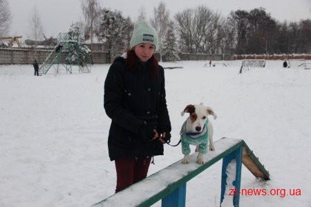 У Житомирі поліцейські нагородили учасників кінологічного клубу подяками та солодкими подарунками