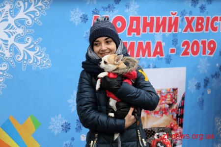 &#8203;На майдані Корольова у Житомирі влаштували костюмоване собаче дефіле