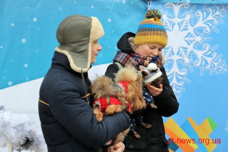 &#8203;На майдані Корольова у Житомирі влаштували костюмоване собаче дефіле