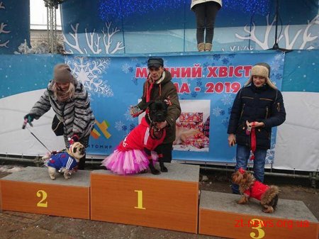 &#8203;На майдані Корольова у Житомирі влаштували костюмоване собаче дефіле