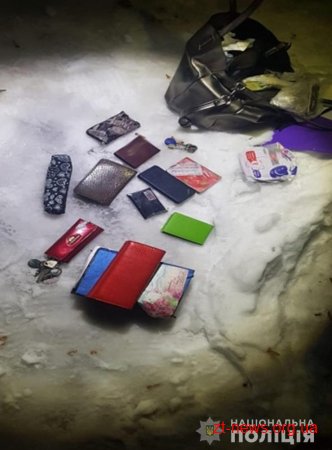 На Житомирщині поліцейські затримали іноземців, підозрюваних у крадіжках з авто у столиці