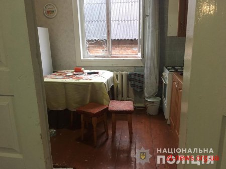 На Житомирщині поліцейські затримали домушника-палія