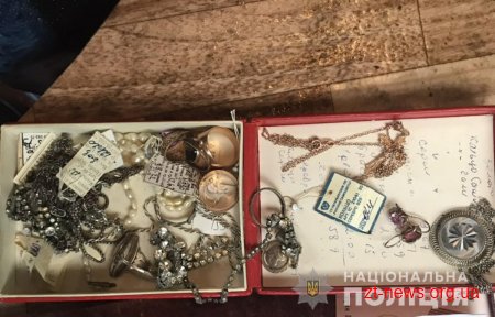 На Житомирщині поліцейські затримали домушника-палія