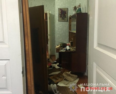 На Житомирщині поліцейські затримали домушника-палія