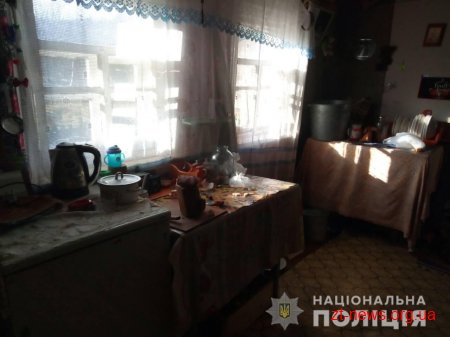 За перший тиждень 2019 року поліцейські Житомирщини викрили півсотні правопорушень відносно дітей