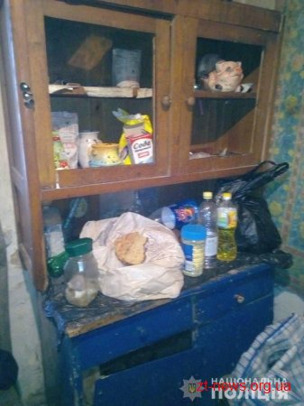 За перший тиждень 2019 року поліцейські Житомирщини викрили півсотні правопорушень відносно дітей